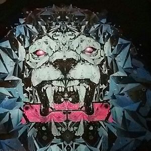 Nike LaBron dry fit T-shirt